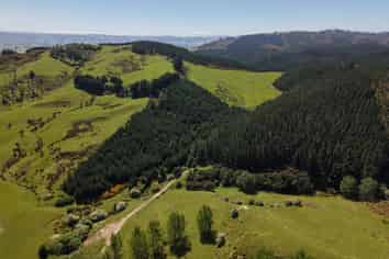 66 Otokia-Kuri Bush Road West, Henley