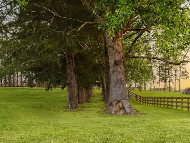  713 Ararimu Valley Road, Waimauku