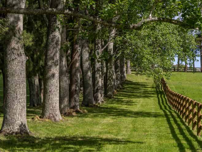  713 Ararimu Valley Road, Waimauku