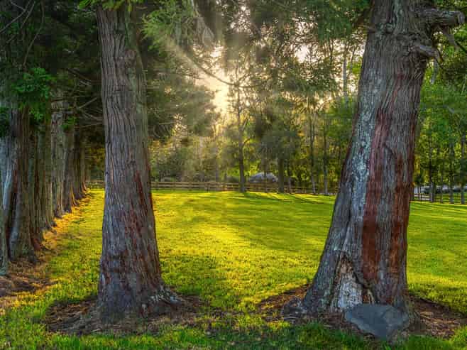  713 Ararimu Valley Road, Waimauku