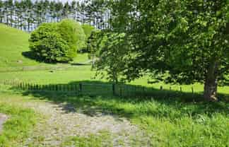 133 Kaimata Road, Kaimata