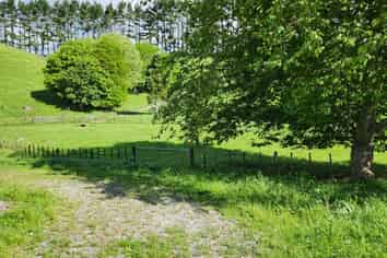 133 Kaimata Road, Kaimata