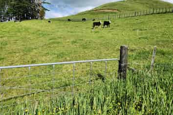 133 Kaimata Road, Kaimata