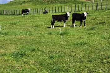 133 Kaimata Road, Kaimata