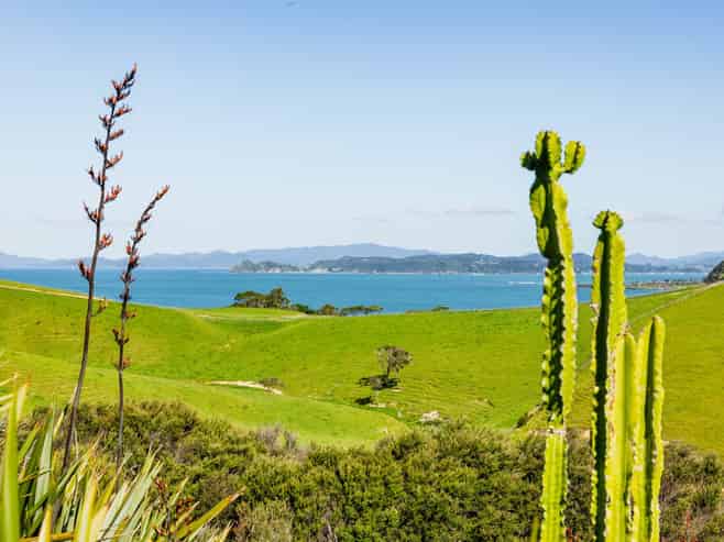 232 Wharau Road, Kerikeri