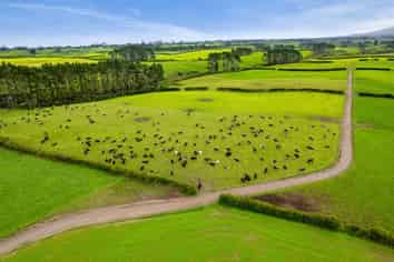 358 Opunake Road, Cardiff