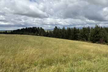  Opihi School Road, Pleasant Point