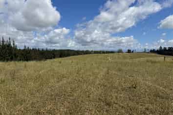  Opihi School Road, Pleasant Point