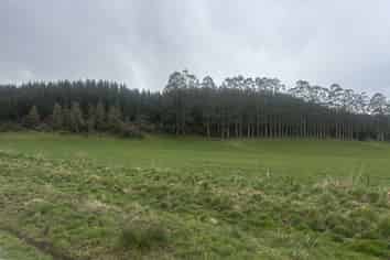  Opihi School Road, Pleasant Point