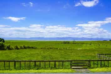 1152a Miranda Road, Miranda