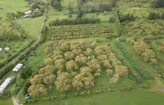 405 Tara Road, Mangawhai