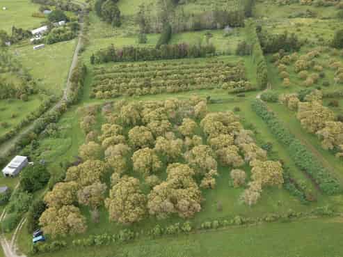 405 Tara Road, Mangawhai