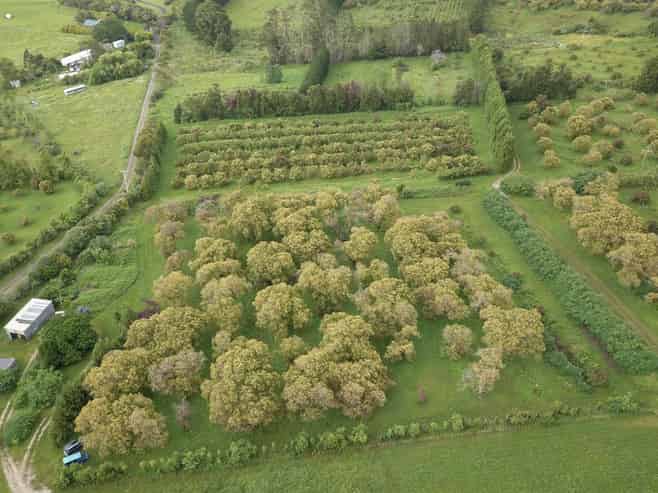 405 Tara Road, Mangawhai