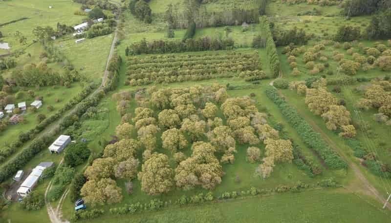 405 Tara Road, Mangawhai