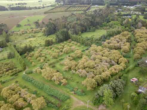 405 Tara Road, Mangawhai