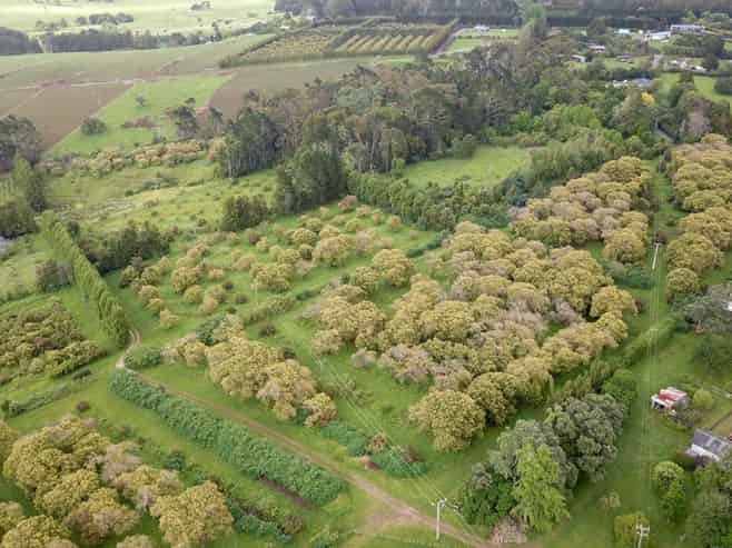 405 Tara Road, Mangawhai