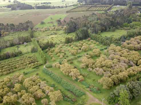 405 Tara Road, Mangawhai