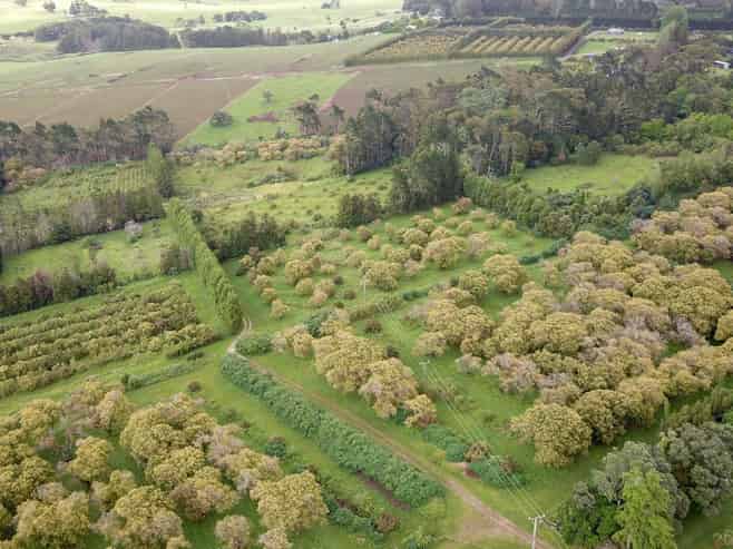 405 Tara Road, Mangawhai