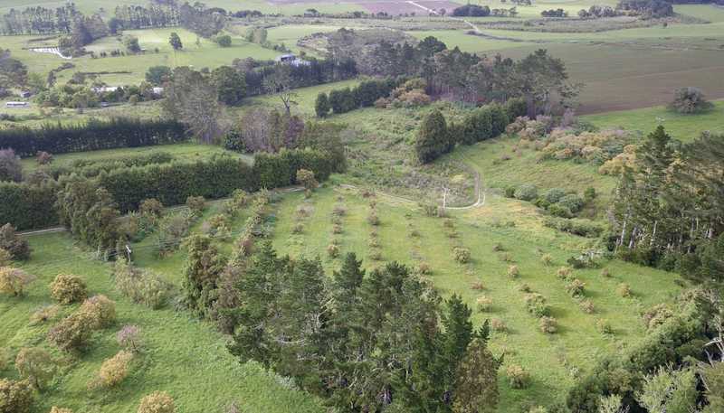 405 Tara Road, Mangawhai