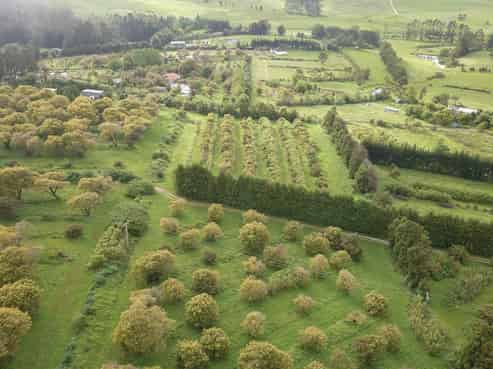 405 Tara Road, Mangawhai