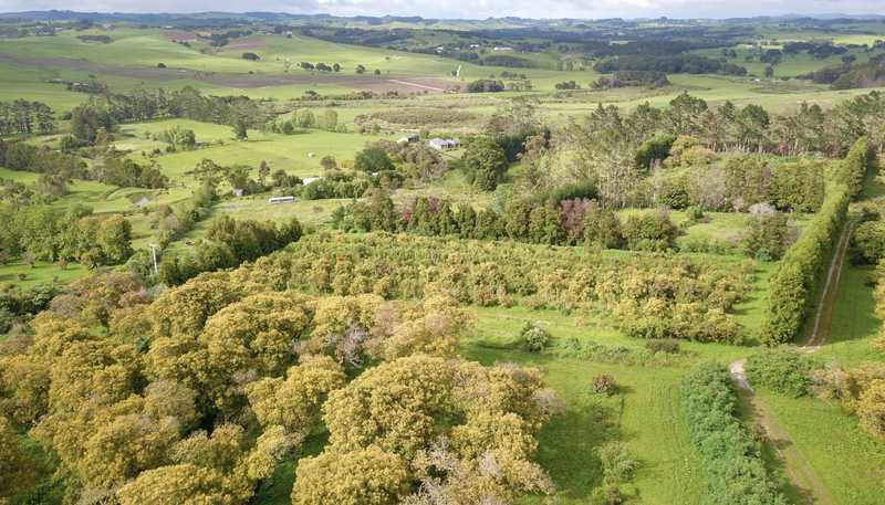 405 Tara Road, Mangawhai
