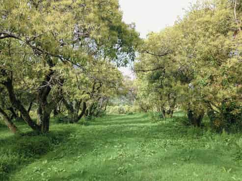 405 Tara Road, Mangawhai