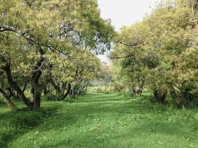 405 Tara Road, Mangawhai