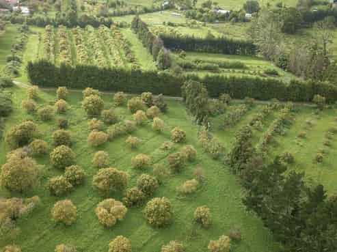 405 Tara Road, Mangawhai