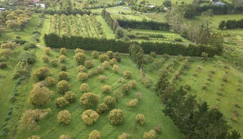 405 Tara Road, Mangawhai