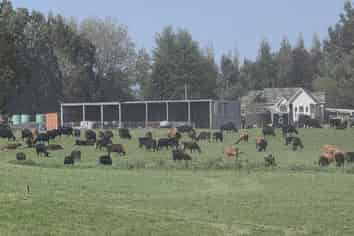 141 Mataura Island Titiroa Road, Mataura Island