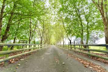 962 State Highway 1, Manakau