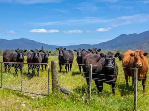 153 Quartz Range Road, Bainham