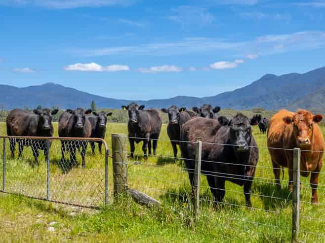 153 Quartz Range Road, Bainham