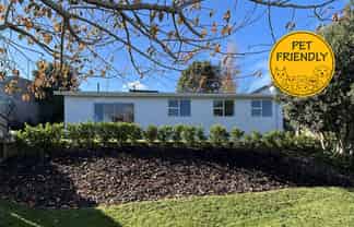 163B Pembroke Street, Westown