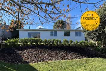 163B Pembroke Street, Westown