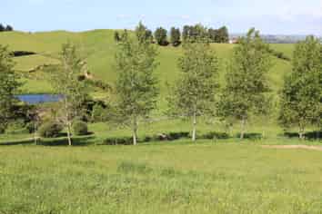 346 Lincoln Road, Inglewood