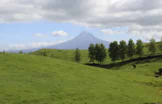 346 Lincoln Road, Inglewood