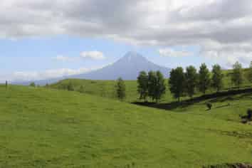 346 Lincoln Road, Inglewood