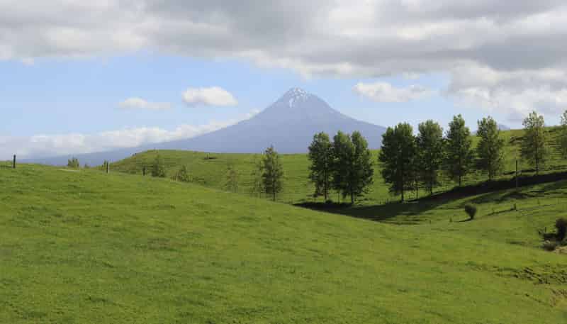 346 Lincoln Road, Inglewood