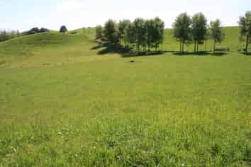 346 Lincoln Road, Inglewood