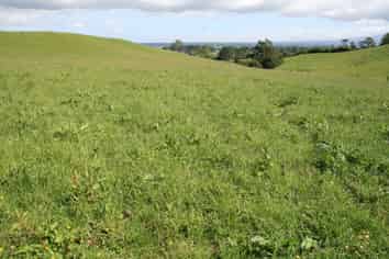 346 Lincoln Road, Inglewood