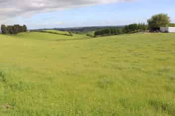 346 Lincoln Road, Inglewood