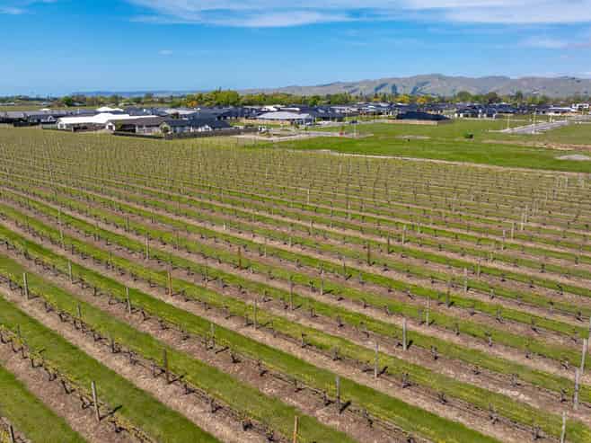 56 Thomsons Ford Road, Rapaura