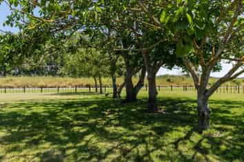 1156 Matawai Road, ORMOND