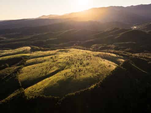 220 Quartz Range Road, Bainham