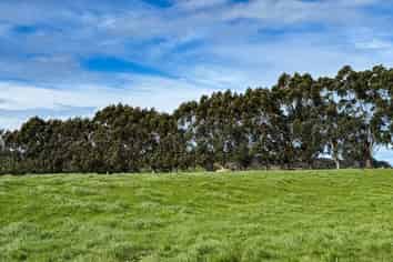 141 Mataura Island Titiroa Road, Mataura Island