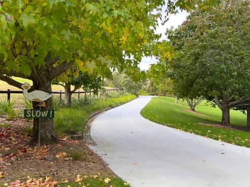 Lot 8, Ashford Rise, Clevedon