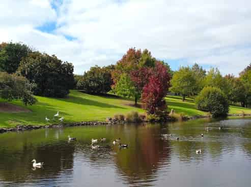 Lot 8, Ashford Rise, Clevedon