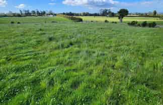 455 Surrey Road, Tariki