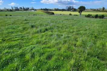 455 Surrey Road, Tariki